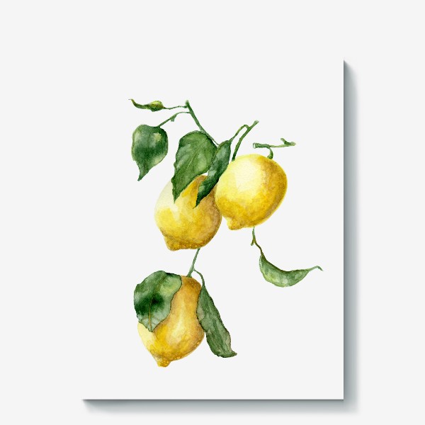 Холст «Лимоны»