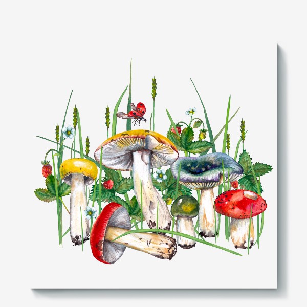 Холст «Разноцветные сыроежки Лесные грибы и земляника в траве Подарок для грибника»