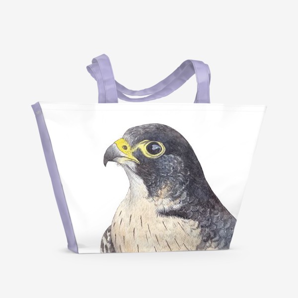 Пляжная сумка «Птицы. Сокол-сапсан»