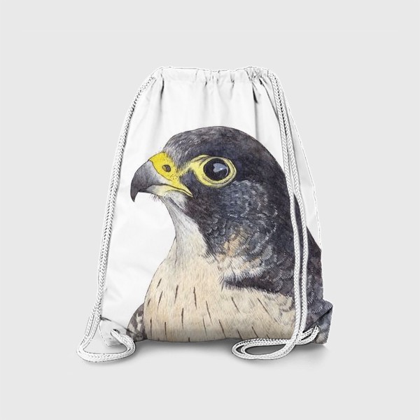 Рюкзак «Птицы. Сокол-сапсан»