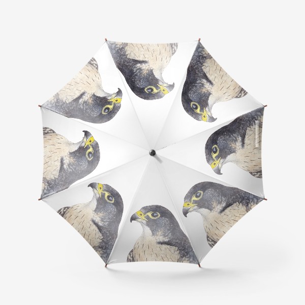 Зонт «Птицы. Сокол-сапсан»