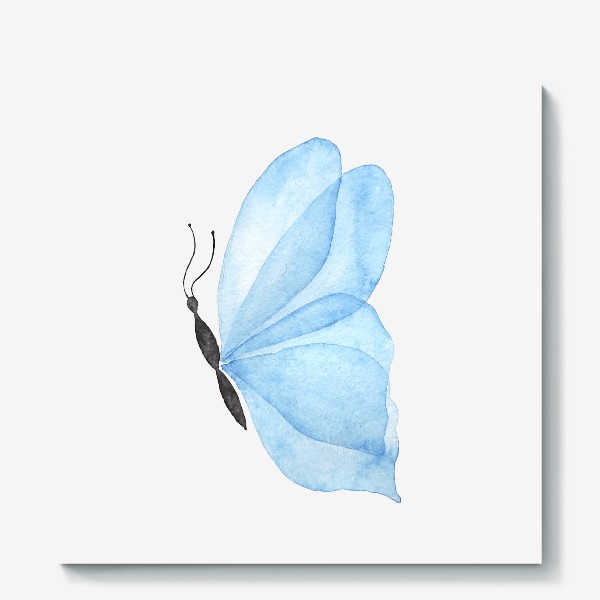 Холст «Голубая бабочка на белом фоне»