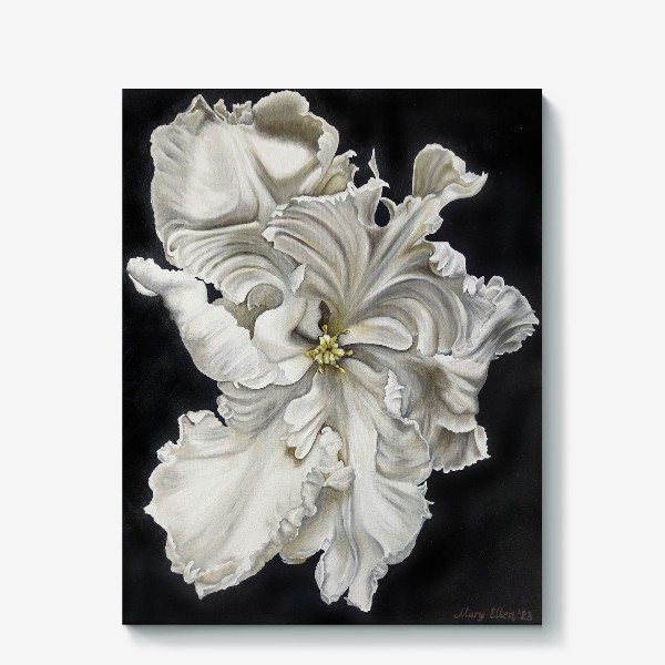 Холст «Цветок - белый махровый тюльпан. Нежный и чувственный»