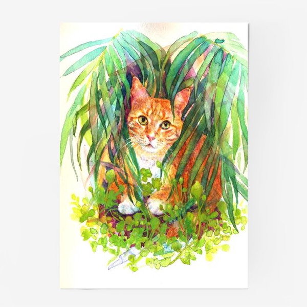 Постер «Рыжий кот , котик ,трава ,зеленый»