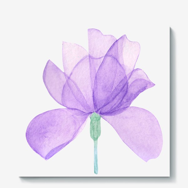 Холст «Акварель Прозрачный цветок ириса»