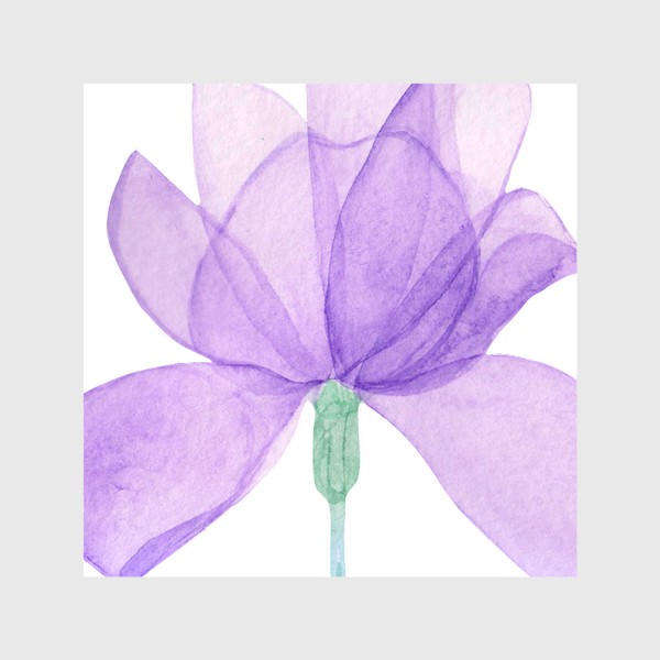 Шторы «Акварель Прозрачный цветок ириса»