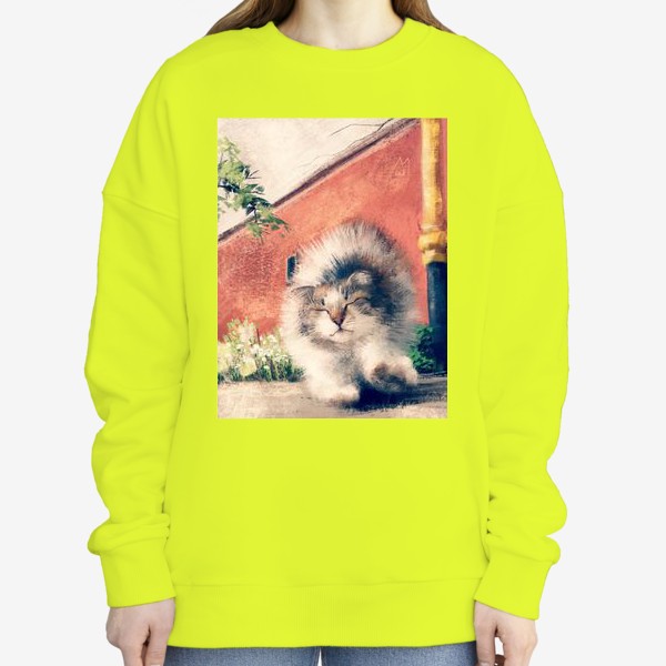 Свитшот «Кошачьи потягушки, живопись, графика, милый пушистый котенок, кот гуляет на улице»