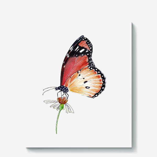 Холст «Бабочка и цветок»