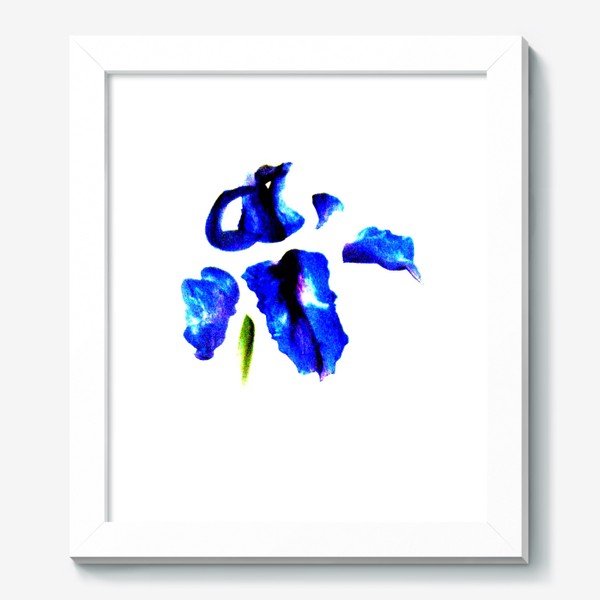 Картина «Синий Ирис»