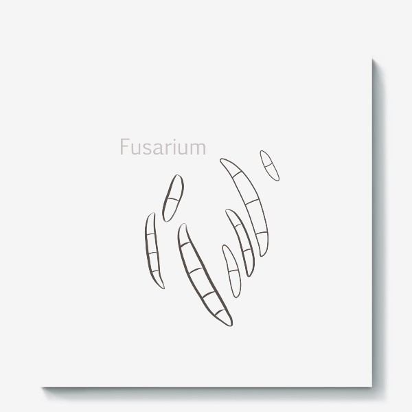 Холст «Fusarium»