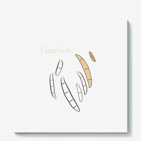 Холст «Fusarium цветной»