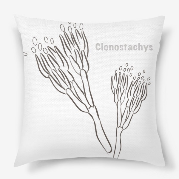Подушка «Clonostachys»