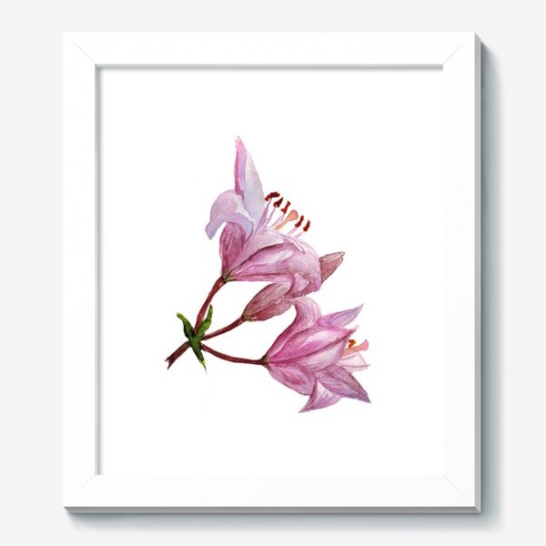 Картина «Розовые садовые лилии»