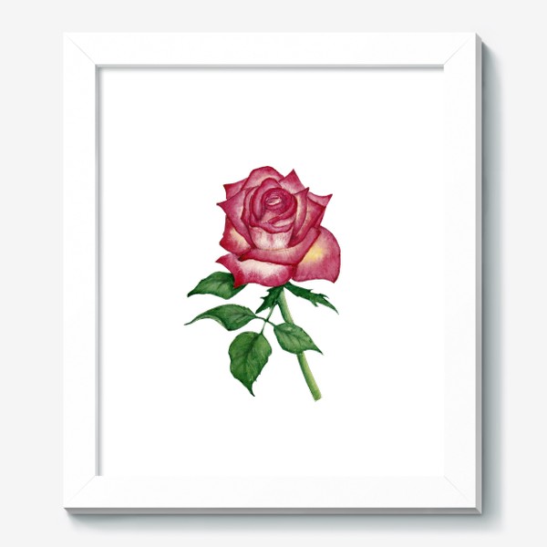 Картина «Роза»