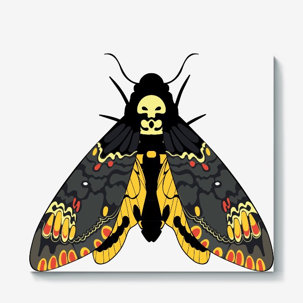 Холст «Бабочка Мёртвая голова»