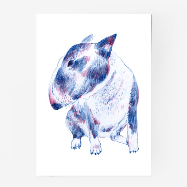Постер «Бультерьер. Рисунок карандашом. Любителю собак»