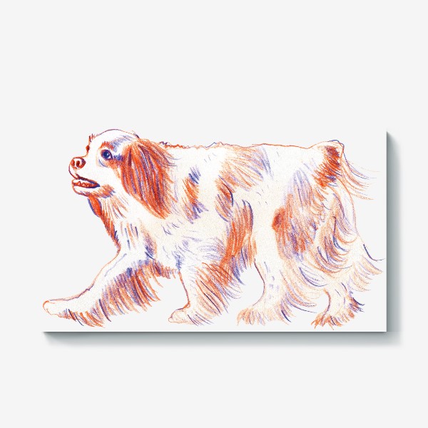 Холст «Кинг Чарльз спаниель. Рисунок карандашом. Любителю собак»