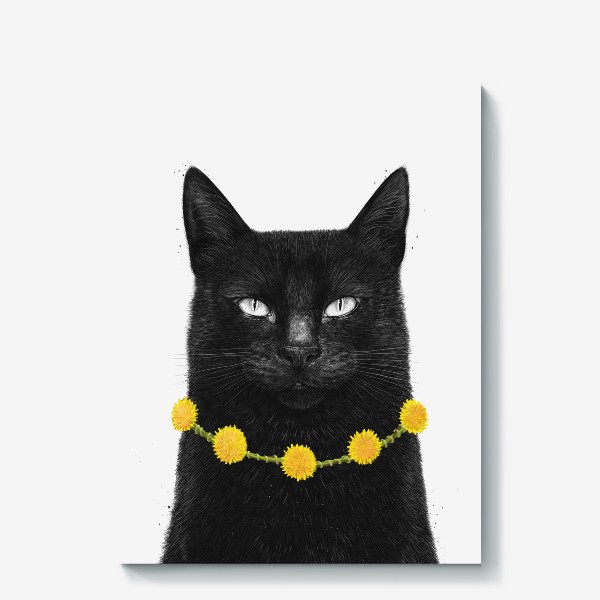 Холст «Черный кот с одуванчиками»