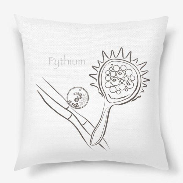 Подушка «Pythium»