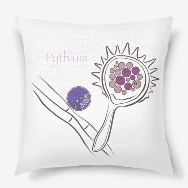 Подушка «Pythium цветной»