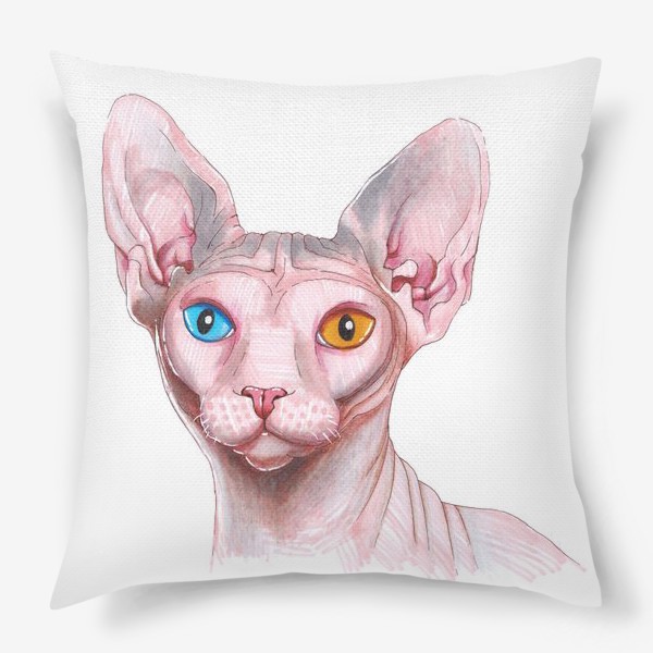 Подушка «Кошка Сфинкс. Домашние животные»