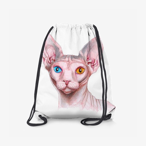 Рюкзак «Кошка Сфинкс. Домашние животные»