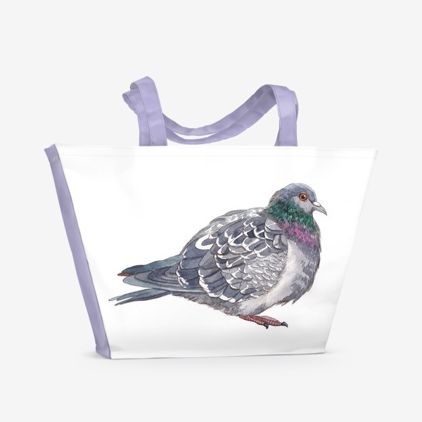 Пляжная сумка «Птицы. Голубь. Серый»