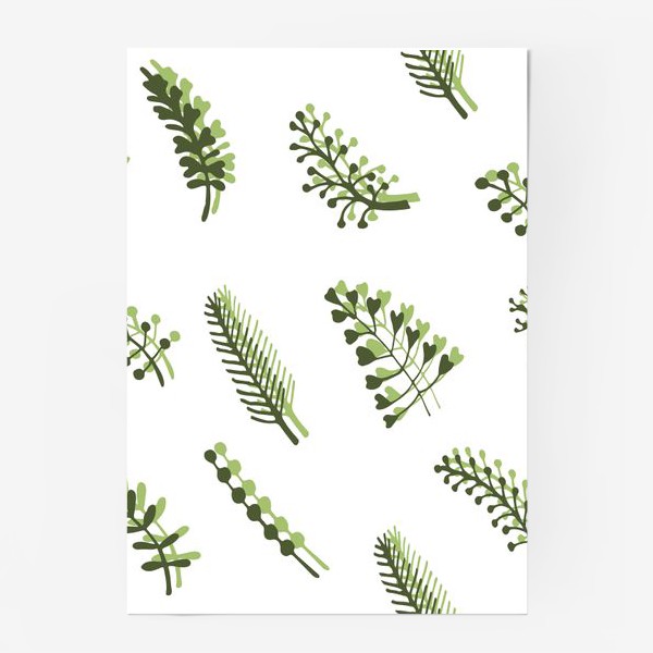 Постер «лесные травы»