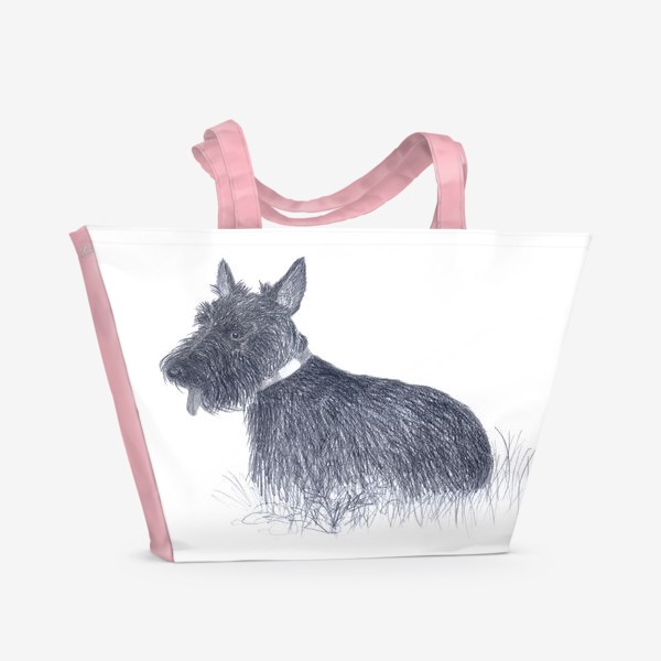 Пляжная сумка «Собака. Скотч-терьер Рисунок собаки. Графика. Реализм.»