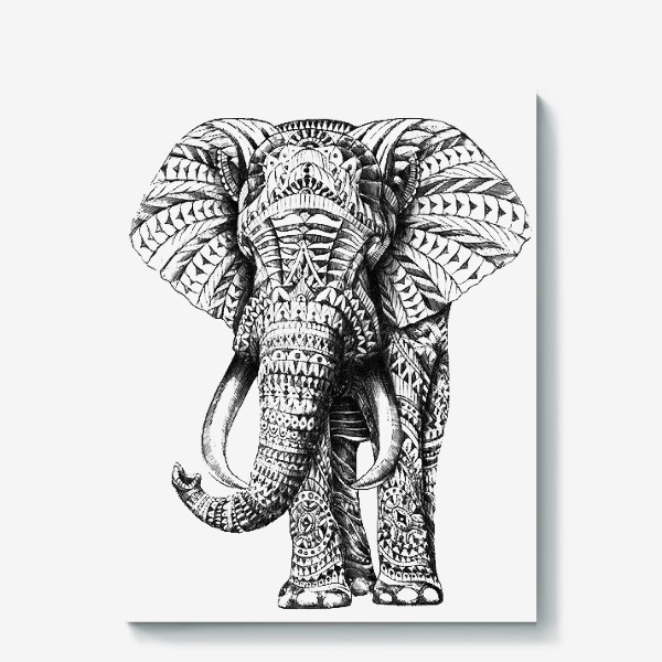 Холст «Слон»