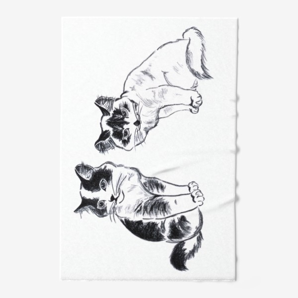 Полотенце «Кошки. Коты. Рисунок котов. Графика. Реализм.»