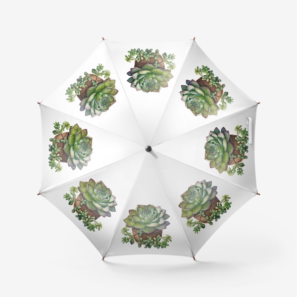 Зонт «Суккулент в керамическом горшке»