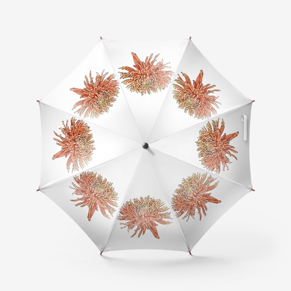 Зонт «Хризантема»