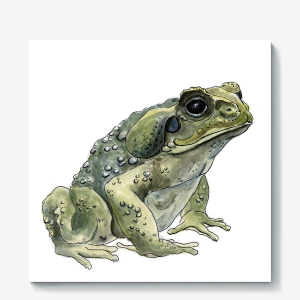 Холст «Зеленая жаба сидит»