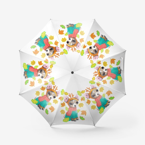 Зонт «Чихуахуа против холода»
