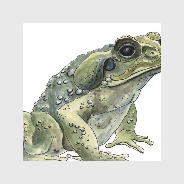 Скатерть «Зеленая жаба сидит»