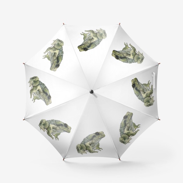 Зонт «Зеленая жаба сидит»