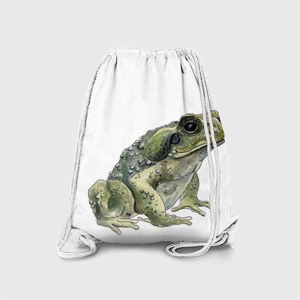 Рюкзак «Зеленая жаба сидит»