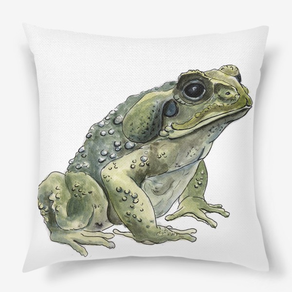 Подушка «Зеленая жаба сидит»
