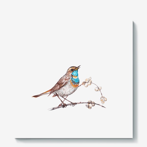 Холст «Певчая птичка варакушка на ветке ягод морозника Зимняя иллюстрация Акварель»