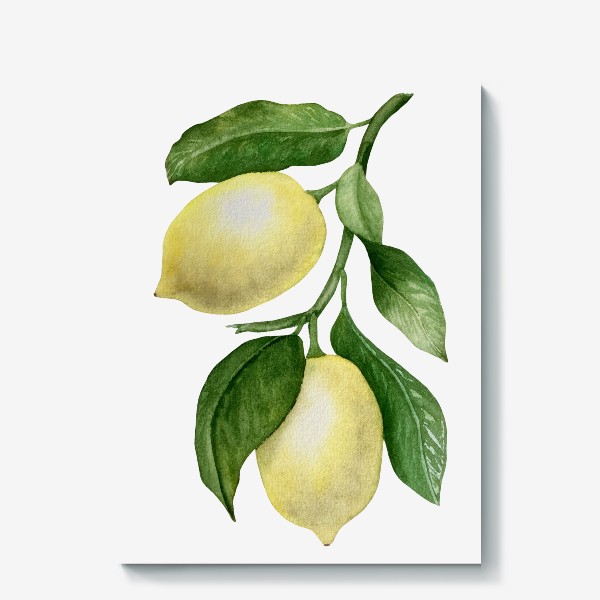 Холст «Сочные лимоны. Акварель»