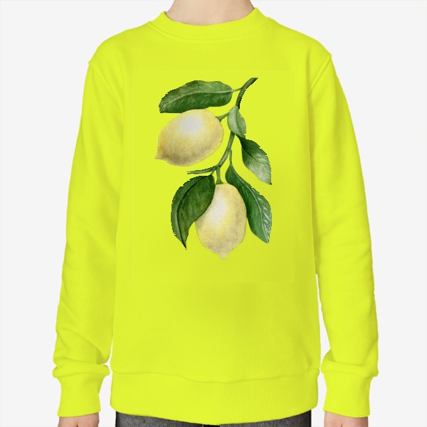 Свитшот «Сочные лимоны. Акварель»