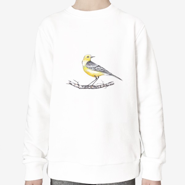 Свитшот «Лесная птичка желтоголовая трясогузка на березовой ветке Зимний мотив Акварель»