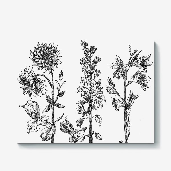 Холст «Винтажные цветы, ботаническая иллюстрация в черно-белой графике»