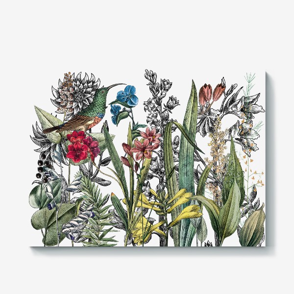Холст &laquo;Винтажные цветы, ботаническая иллюстрация с птицей колибри&raquo;