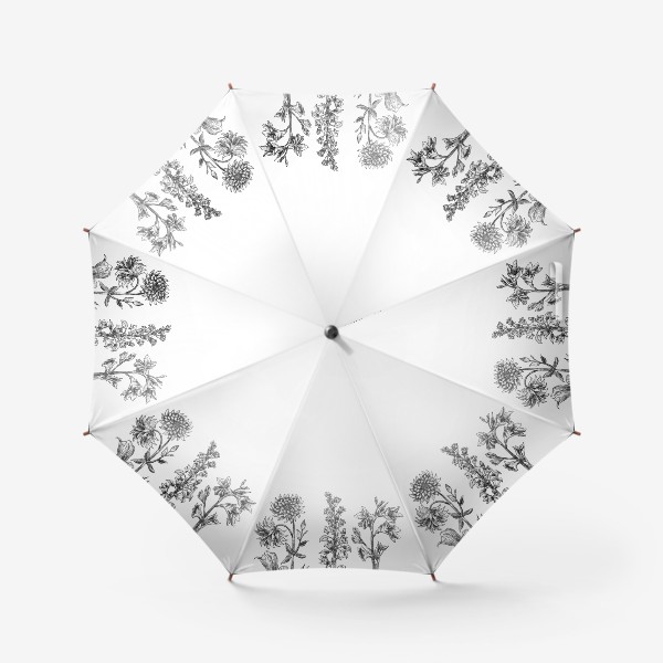 Зонт «Винтажные цветы, ботаническая иллюстрация в черно-белой графике»