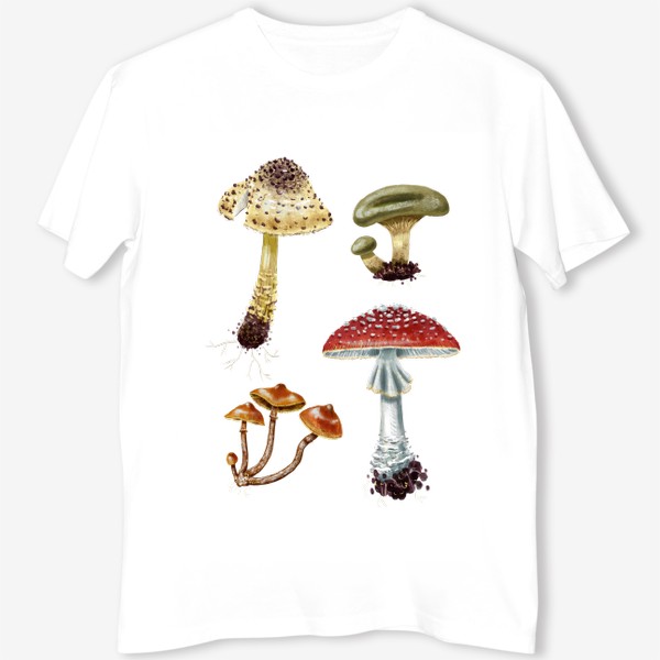 Футболка &laquo;Разные красивые лесные грибы, летние и осенние, несъедобные и ядовитые. Гриб мухомор, лепиота, свинушка, галерина&raquo;