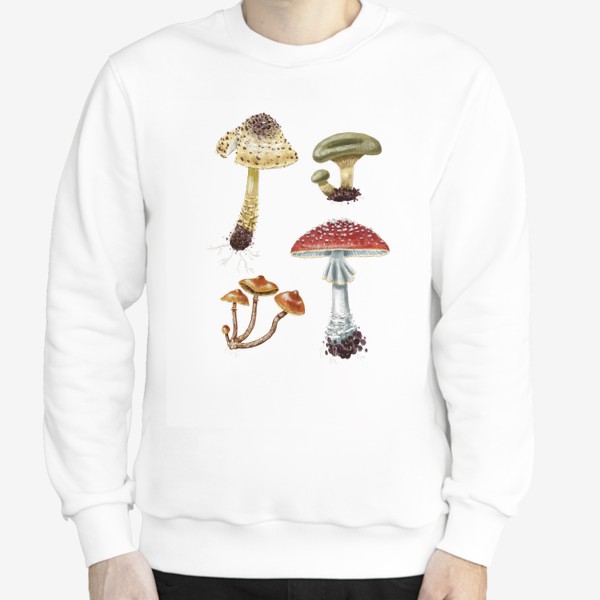 Свитшот «Разные красивые лесные грибы, летние и осенние, несъедобные и ядовитые. Гриб мухомор, лепиота, свинушка, галерина»