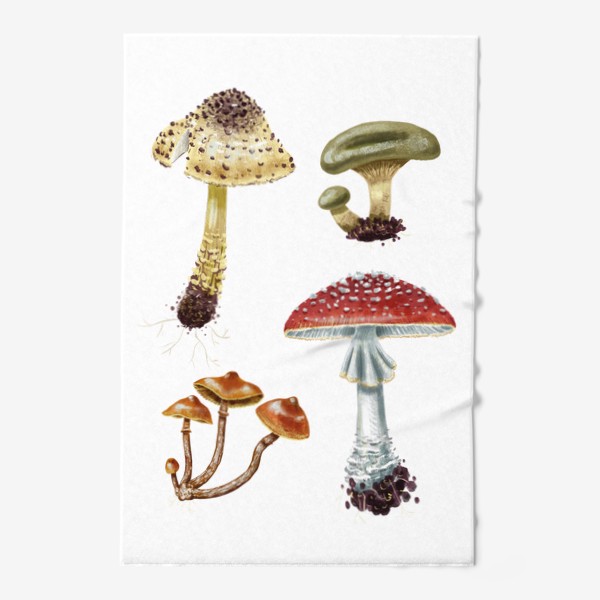 Полотенце «Разные красивые лесные грибы, летние и осенние, несъедобные и ядовитые. Гриб мухомор, лепиота, свинушка, галерина»