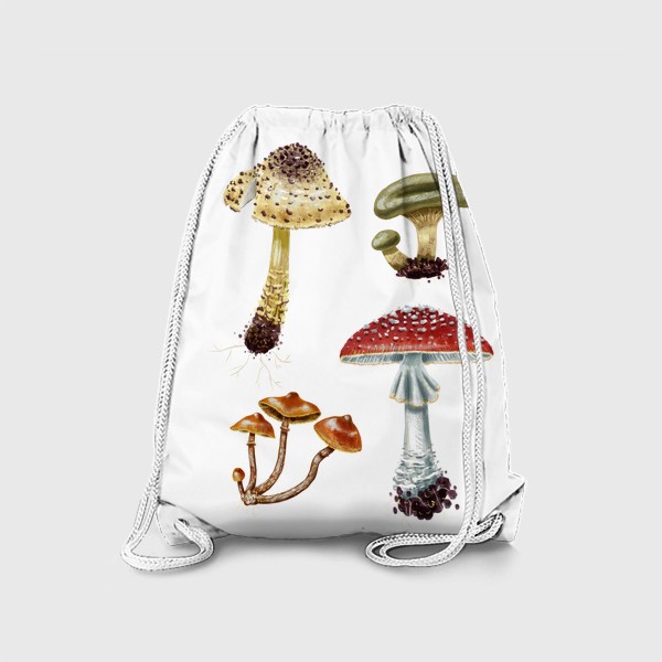 Рюкзак «Разные красивые лесные грибы, летние и осенние, несъедобные и ядовитые. Гриб мухомор, лепиота, свинушка, галерина»